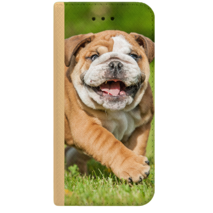 ETUI BOOK MAGNET NA TELEFON SAMSUNG GALAXY J5 2017 ZŁOTY MOPS