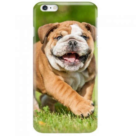 Etui na telefon APPLE IPHONE 6 PLUS / 6S PLUS MISS HANGOVER