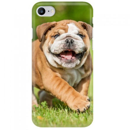 Etui na telefon APPLE IPHONE 7 / 8 MISS HANGOVER