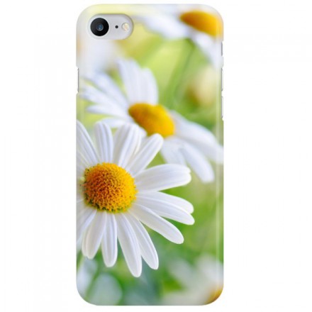 Etui na telefon APPLE IPHONE 7 / 8 SOWA 3