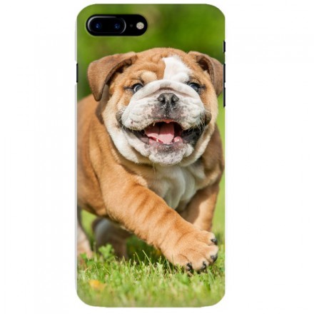 Etui na telefon APPLE IPHONE 7 PLUS / 8 PLUS MISS HANGOVER