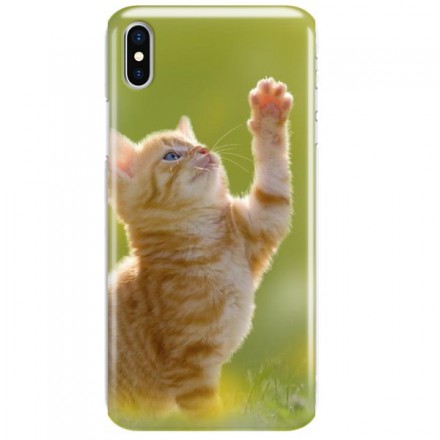 Etui na telefon APPLE IPHONE X / IPHONE XS KOTEK