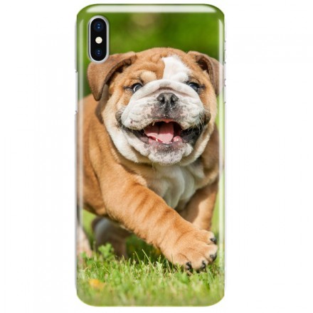 Etui na telefon APPLE IPHONE X / IPHONE XS MISS HANGOVER