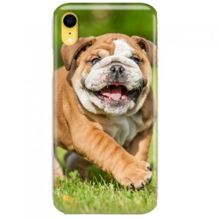 Etui na telefon APPLE IPHONE XR MISS HANGOVER