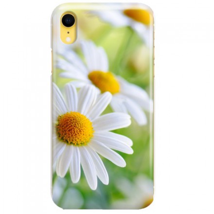 Etui na telefon APPLE IPHONE XR SOWA 3