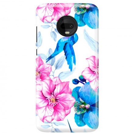 Etui na telefon MOTOROLA MOTO G7  KOLIBER