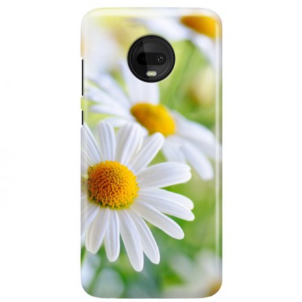 Etui na telefon MOTOROLA MOTO G7  STOKROTKA