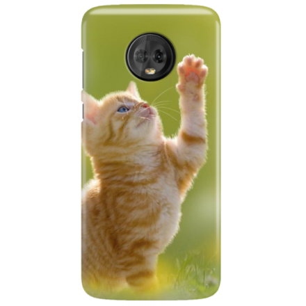 Etui na telefon MOTOROLA MOTO G6 KOTEK