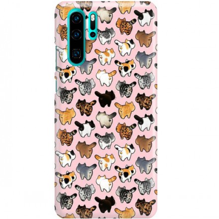 ETUI CLEAR NA TELEFON HUAWEI P30 PRO CORGI