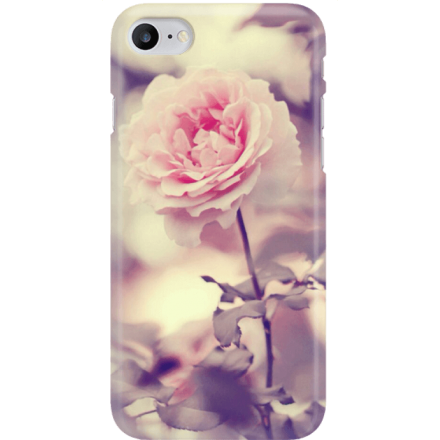 Etui na telefon Iphone 7 / 8 Pastelowa Róża